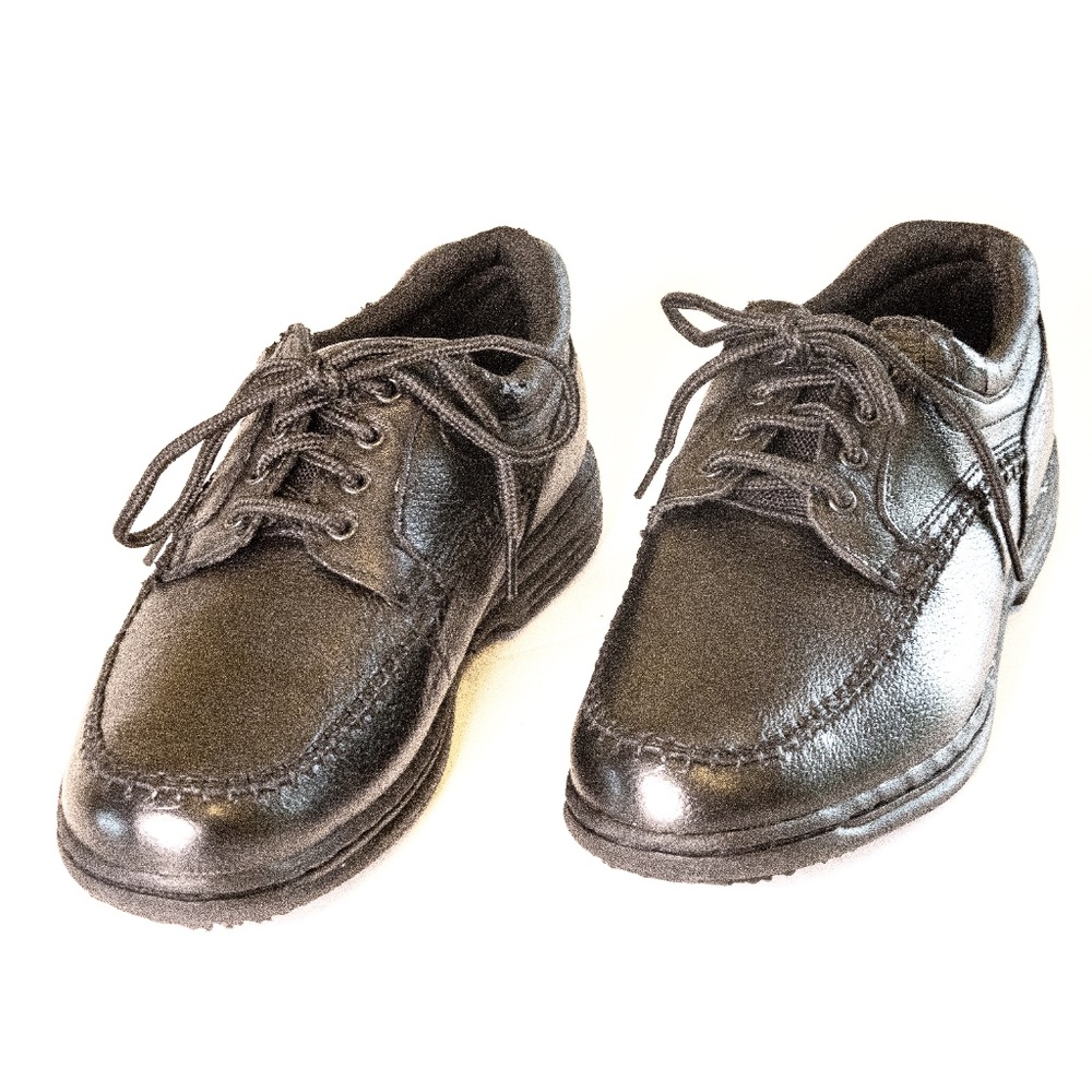 Size 8 1/2 Black Leather Earth Shoe For Boys/Men